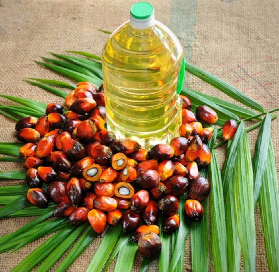 International pressure is mounting on Indonesia over its ban on palm oil exports